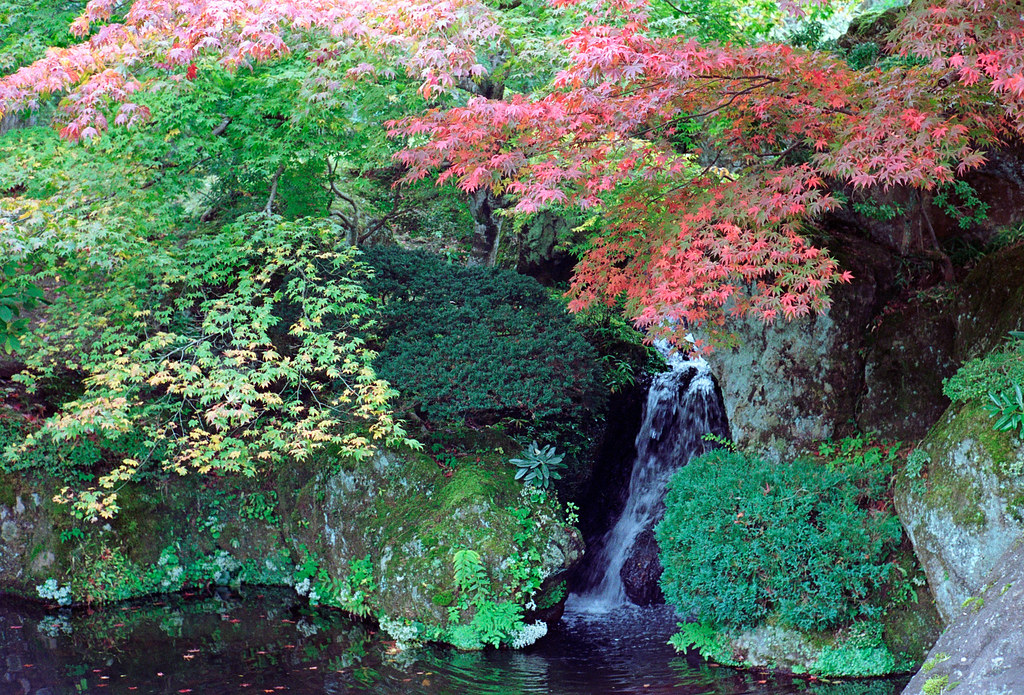 箱根美術館　紅葉